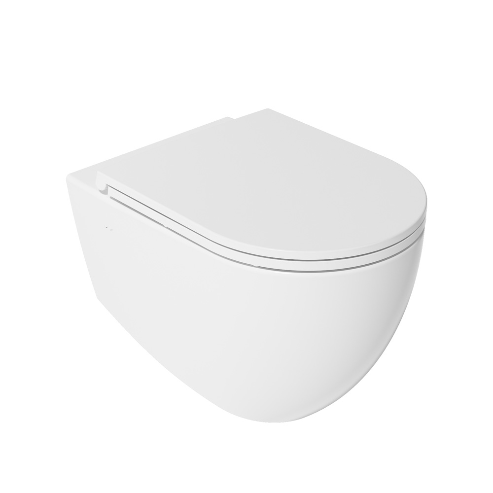 INFINITY  Vortex Flush Hung WC 10NF02003